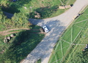 2007