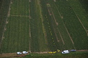 2007