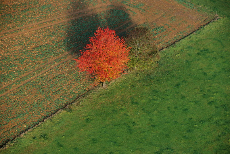 05-Automne.jpg