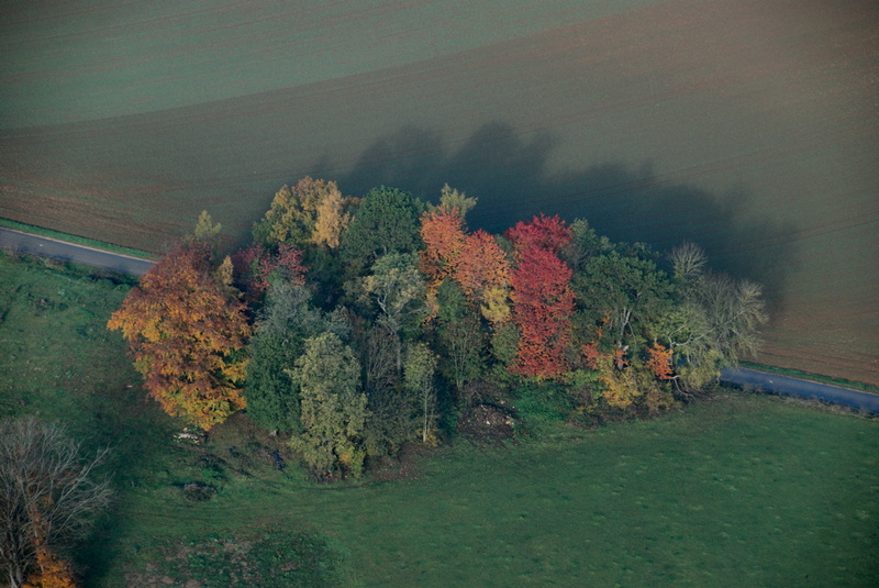 07-Automne