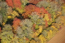 Automne