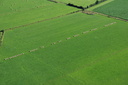 Balles-de-Foin-alignees