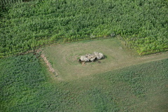 10-Dolmen-de-la-Ganguille