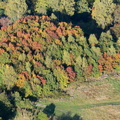 05-Bouillon-Automne