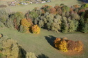 09-La-Warenne-Automne