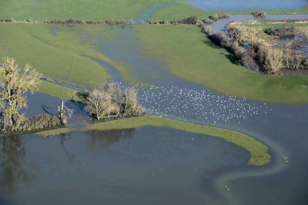 20-04-Tournes-inondation