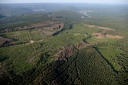 Vers le bois de l'Or