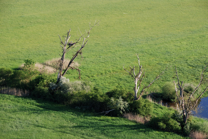 03-Corny-Cigognes