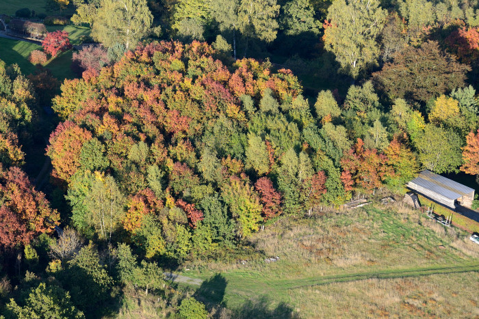 05-Bouillon-Automne