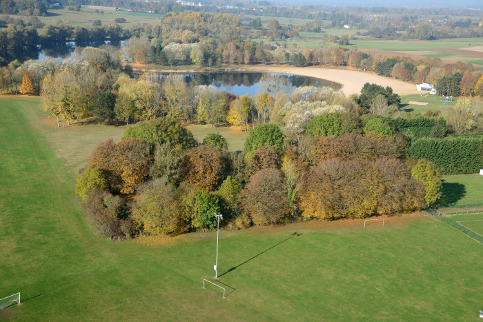 01-La-Warenne-Automne