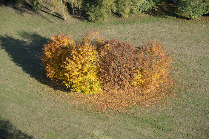 08-La-Warenne-Automne.jpg