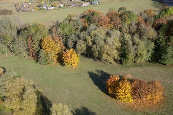 09-La-Warenne-Automne.jpg