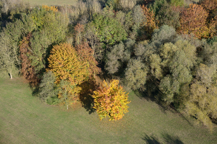 10-La-Warenne-Automne.jpg