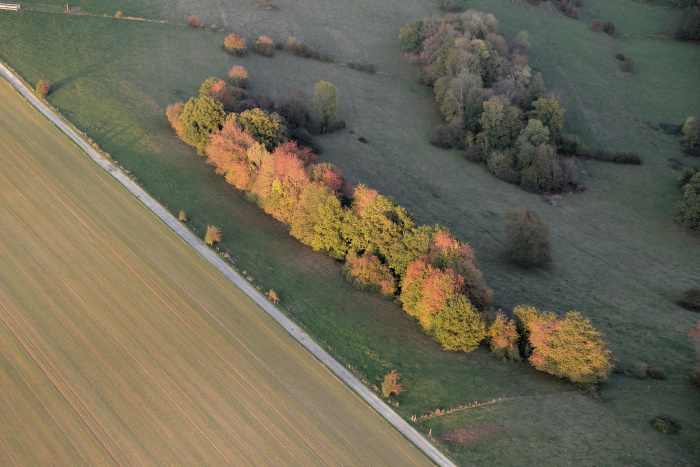 18-12-Arbres-Automne